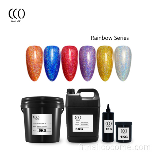 CCO de haute qualité OEM OEM 22 couleurs Rainbow Series UV Gel One Nail Kone Art